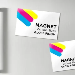 Magnets  Stock 17PT Magnet